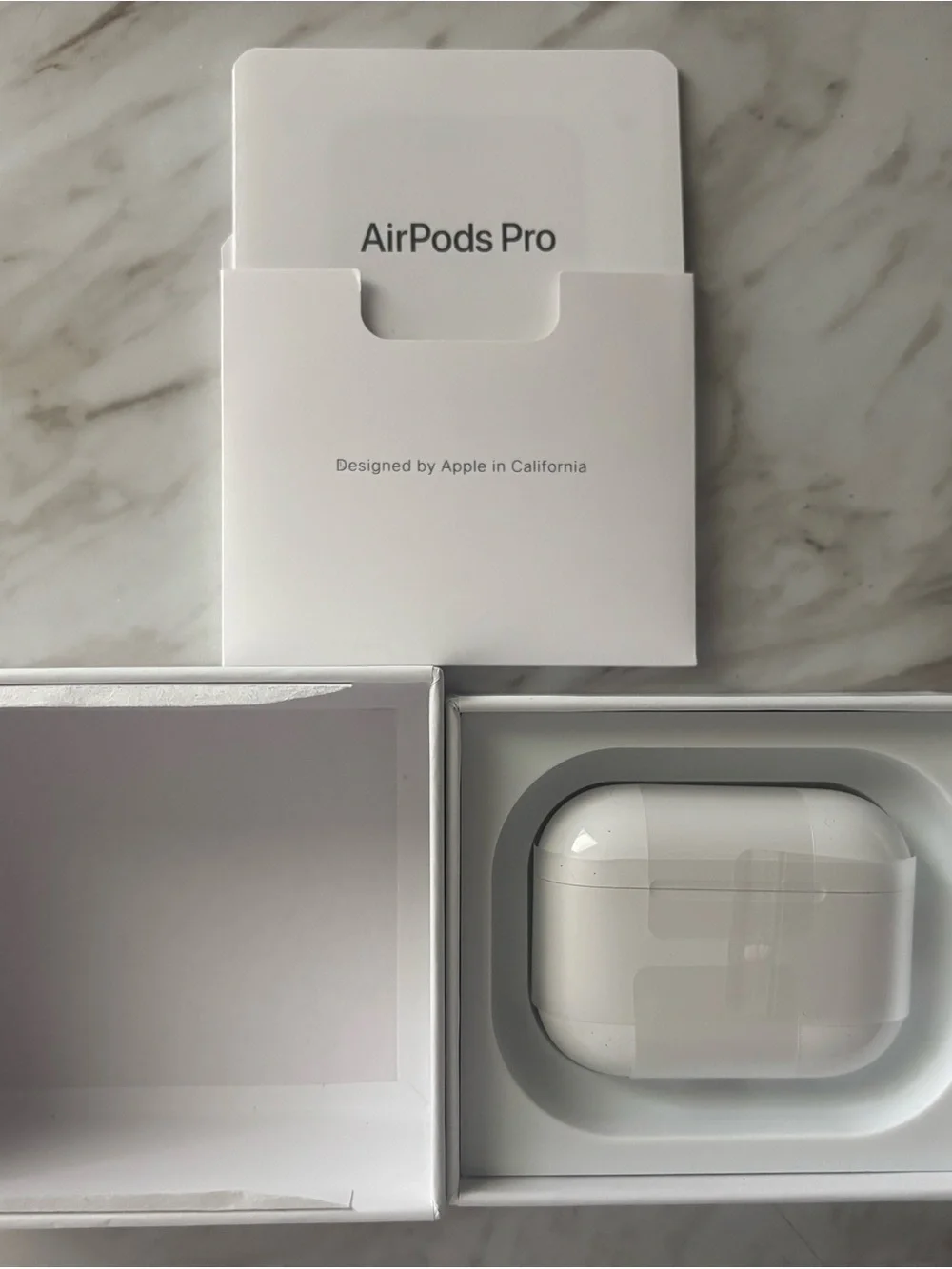 Apple earbuds pro